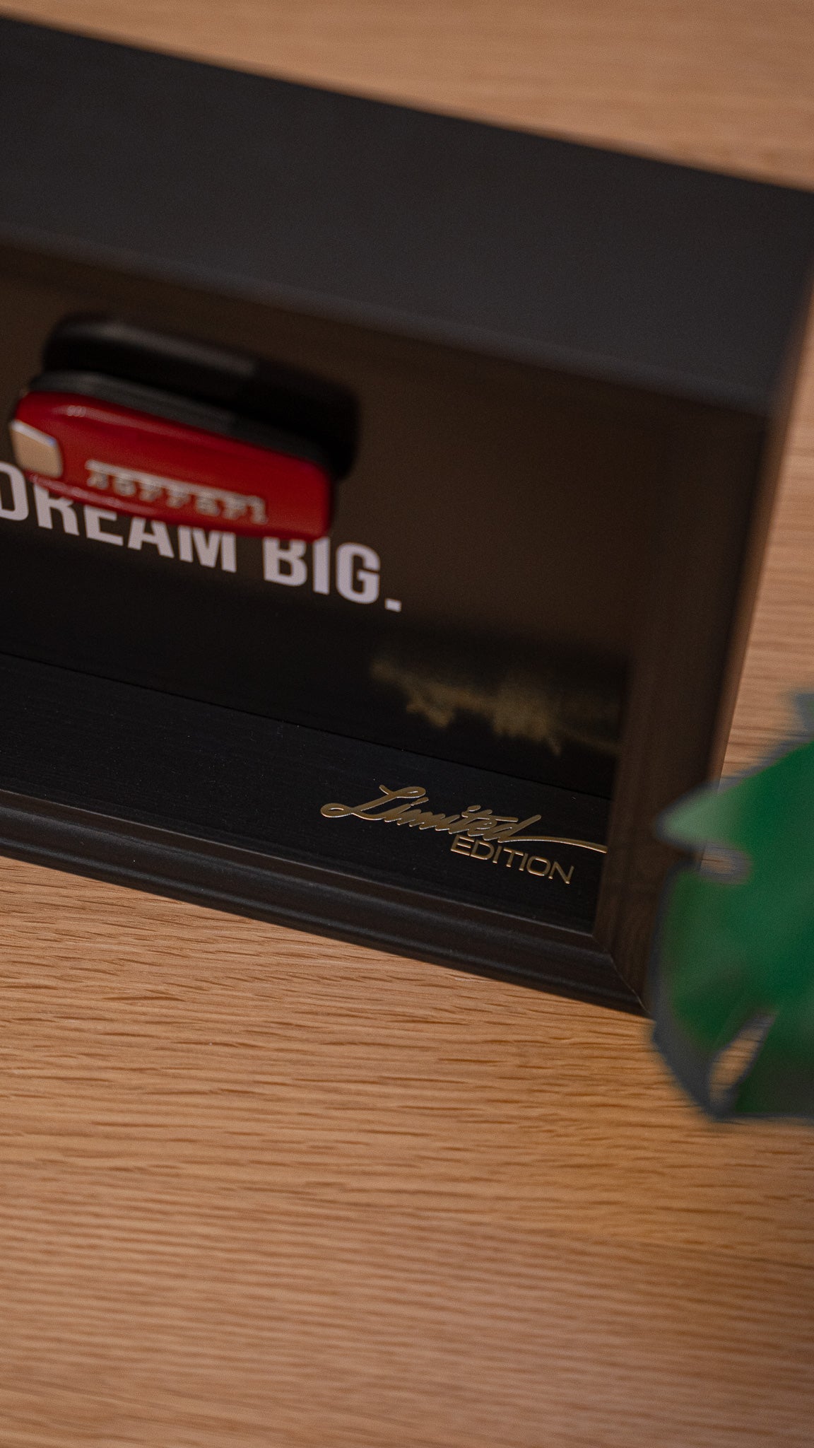 'DREAM BIG.' ✦